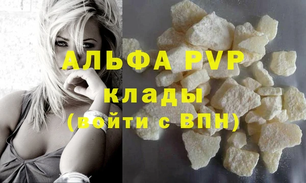 стафф Новодвинск