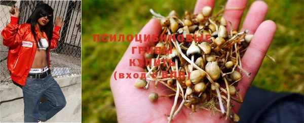 а пвп мука Новокубанск
