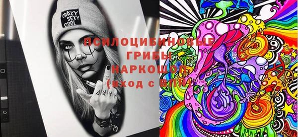 стафф Новодвинск
